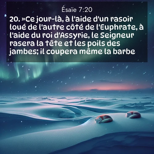 Segond21 Ésaïe  ; image nature: image avec le verset biblique :»Ce jour-là, à l&#039;aide d&#039;un rasoir loué de l&#039;autre côté de l&#039;Euphrate, à l&#039;aide du roi d&#039;Assyrie, le Seigneur rasera la tête et les poils des jambes; il coupera même la barbe. ;  ; 7:20