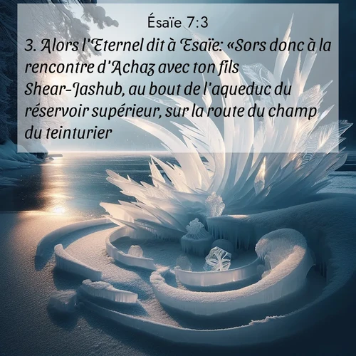 Segond21 Ésaïe  ; image nature: image avec le verset biblique :Alors l&#039;Eternel dit à Esaïe: «Sors donc à la rencontre d&#039;Achaz avec ton fils Shear-Jashub, au bout de l&#039;aqueduc du réservoir supérieur, sur la route du champ du teinturier. ;  ; 7:3