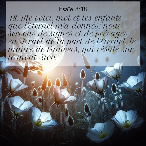 Segond21 Ésaïe  ; image nature: image avec le verset biblique :Me voici, moi et les enfants que l&#039;Eternel m&#039;a donnés: nous servons de signes et de présages en Israël de la part de l&#039;Eternel, le maître de l&#039;univers, qui réside sur le mont Sion. ;  ; 8:18