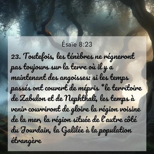 Segond21 Ésaïe  ; image nature: image avec le verset biblique :Toutefois, les ténèbres ne régneront pas toujours sur la terre où il y a maintenant des angoisses: si les temps passés ont couvert de mépris *le territoire de Zabulon et de Nephthali, les temps à venir couvriront de gloire la région voisine de la mer, la région située de l&#039;autre côté du Jourdain, la Galilée à la population étrangère. ;  ; 8:23
