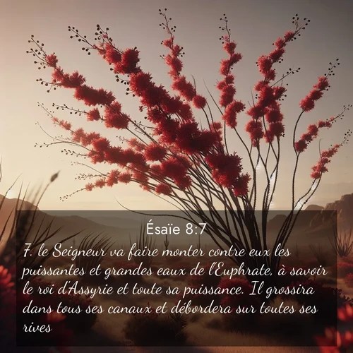 Segond21 Ésaïe  ; image nature: image avec le verset biblique :le Seigneur va faire monter contre eux les puissantes et grandes eaux de l&#039;Euphrate, à savoir le roi d&#039;Assyrie et toute sa puissance. Il grossira dans tous ses canaux et débordera sur toutes ses rives; ;  ; 8:7