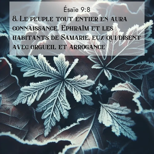 Segond21 Ésaïe  ; image nature: image avec le verset biblique :Le peuple tout entier en aura connaissance, Ephraïm et les habitants de Samarie, eux qui disent avec orgueil et arrogance: ;  ; 9:8