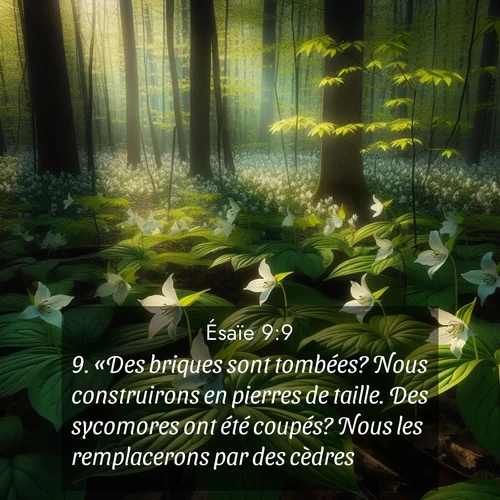 Segond21 Ésaïe  ; image nature: image avec le verset biblique :«Des briques sont tombées? Nous construirons en pierres de taille. Des sycomores ont été coupés? Nous les remplacerons par des cèdres.» ;  ; 9:9