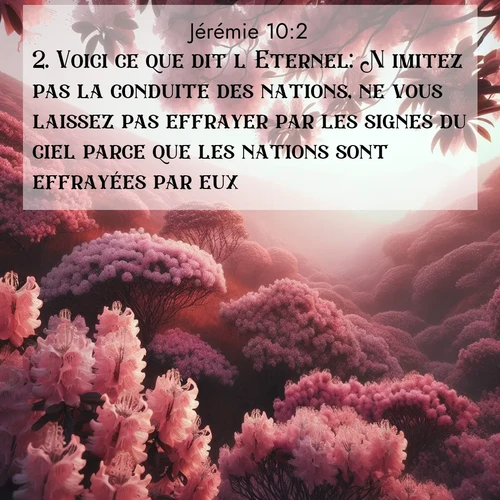citation biblique : 2. Voici ce que dit l&#039;Eternel: N&#039;imitez pas la conduite des nations, ne vous laissez pas effrayer par les signes du ciel parce que les nations sont effrayées par eux.
 sur fond image nature