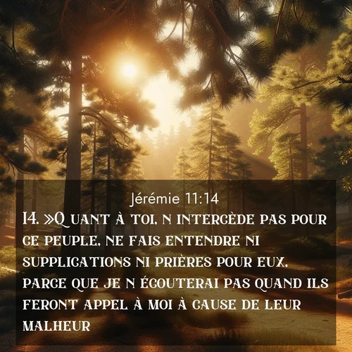 citation biblique : 14. »Quant à toi, n&#039;intercède pas pour ce peuple, ne fais entendre ni supplications ni prières pour eux, parce que je n&#039;écouterai pas quand ils feront appel à moi à cause de leur malheur.
 sur fond image nature
