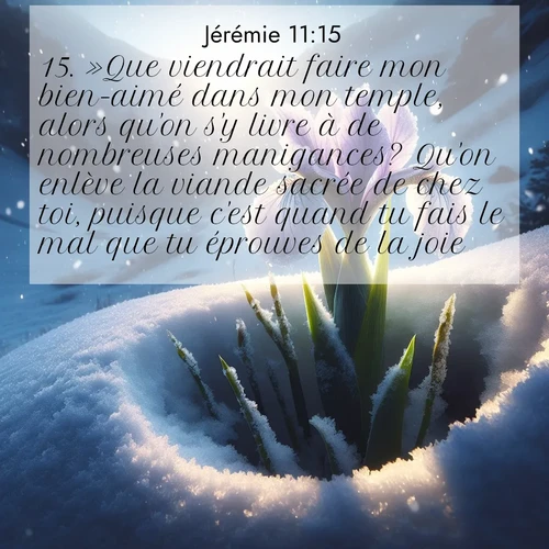 Segond21 Jérémie  ; image nature: image avec le verset biblique :»Que viendrait faire mon bien-aimé dans mon temple, alors qu&#039;on s&#039;y livre à de nombreuses manigances? Qu&#039;on enlève la viande sacrée de chez toi, puisque c&#039;est quand tu fais le mal que tu éprouves de la joie! ;  ; 11:15