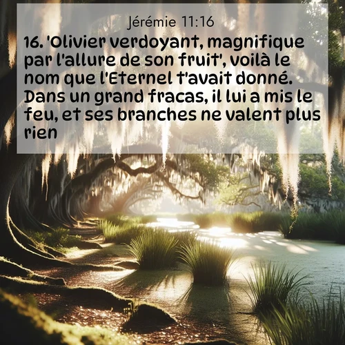 citation biblique : 16. &#039;Olivier verdoyant, magnifique par l&#039;allure de son fruit&#039;, voilà le nom que l&#039;Eternel t&#039;avait donné. Dans un grand fracas, il lui a mis le feu, et ses branches ne valent plus rien.
 sur fond image nature