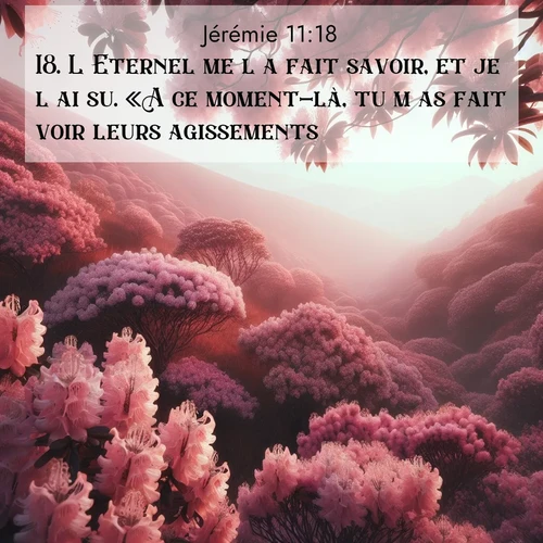 Segond21 Jérémie  ; image nature: image avec le verset biblique :L&#039;Eternel me l&#039;a fait savoir, et je l&#039;ai su. «A ce moment-là, tu m&#039;as fait voir leurs agissements. ;  ; 11:18