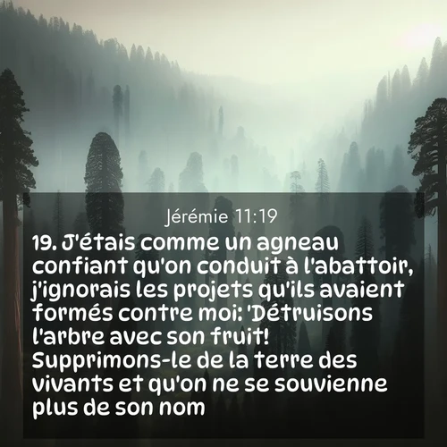 citation biblique : 19. J&#039;étais comme un agneau confiant qu&#039;on conduit à l&#039;abattoir, j&#039;ignorais les projets qu&#039;ils avaient formés contre moi: &#039;Détruisons l&#039;arbre avec son fruit! Supprimons-le de la terre des vivants et qu&#039;on ne se souvienne plus de son nom!&#039;
 sur fond image nature