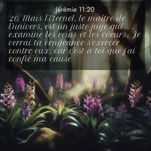 citation biblique : 20. Mais l&#039;Eternel, le maître de l&#039;univers, est un juste juge qui examine les reins et les coeurs. Je verrai ta vengeance s&#039;exercer contre eux, car c&#039;est à toi que j&#039;ai confié ma cause.»
 sur fond image nature