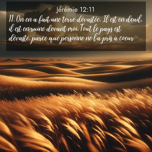 Segond21 Jérémie  ; image nature: image avec le verset biblique :On en a fait une terre dévastée. Il est en deuil, il est en ruine devant moi. Tout le pays est dévasté, parce que personne ne l&#039;a pris à coeur. ;  ; 12:11