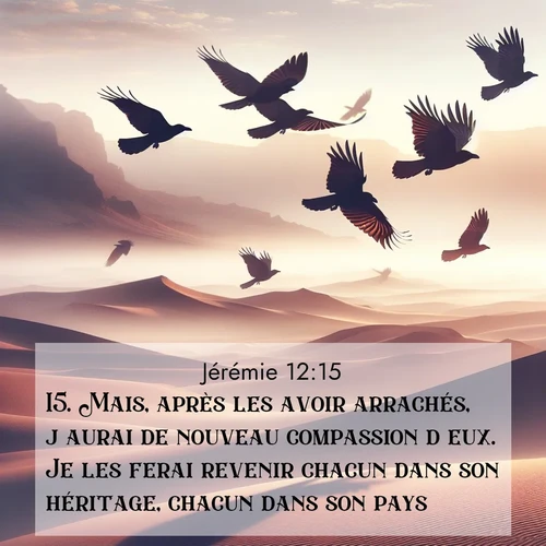 Segond21 Jérémie  ; image nature: image avec le verset biblique :Mais, après les avoir arrachés, j&#039;aurai de nouveau compassion d&#039;eux. Je les ferai revenir chacun dans son héritage, chacun dans son pays. ;  ; 12:15