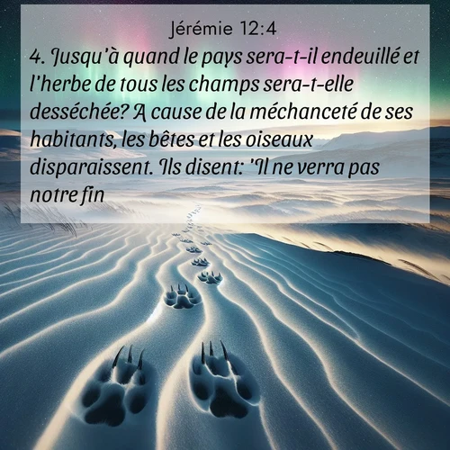 Segond21 Jérémie  ; image nature: image avec le verset biblique :Jusqu&#039;à quand le pays sera-t-il endeuillé et l&#039;herbe de tous les champs sera-t-elle desséchée? A cause de la méchanceté de ses habitants, les bêtes et les oiseaux disparaissent. Ils disent: &#039;Il ne verra pas notre fin.&#039;» ;  ; 12:4