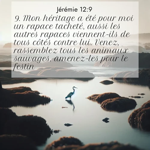 Segond21 Jérémie  ; image nature: image avec le verset biblique :Mon héritage a été pour moi un rapace tacheté, aussi les autres rapaces viennent-ils de tous côtés contre lui. Venez, rassemblez tous les animaux sauvages, amenez-les pour le festin! ;  ; 12:9
