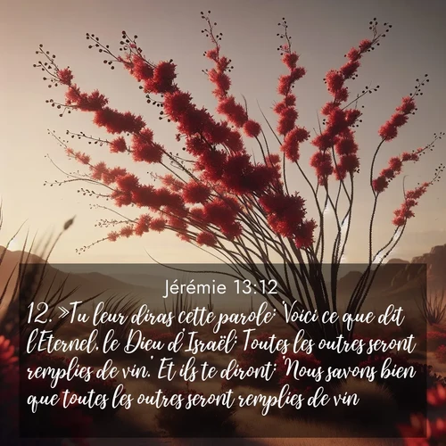 Segond21 Jérémie  ; image nature: image avec le verset biblique :»Tu leur diras cette parole: &#039;Voici ce que dit l&#039;Eternel, le Dieu d&#039;Israël: Toutes les outres seront remplies de vin.&#039; Et ils te diront: &#039;Nous savons bien que toutes les outres seront remplies de vin!&#039; ;  ; 13:12