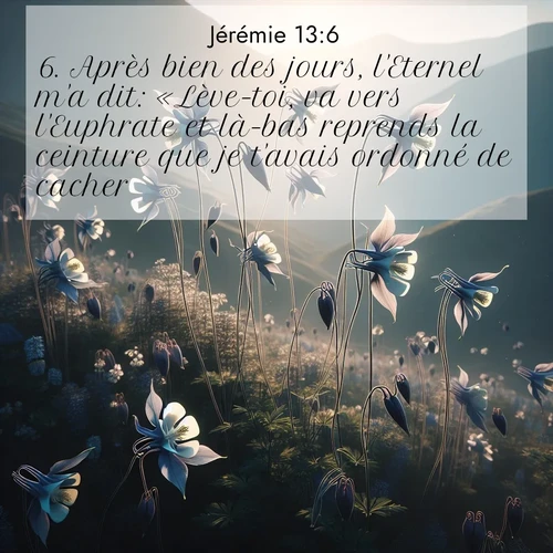 Segond21 Jérémie  ; image nature: image avec le verset biblique :Après bien des jours, l&#039;Eternel m&#039;a dit: «Lève-toi, va vers l&#039;Euphrate et là-bas reprends la ceinture que je t&#039;avais ordonné de cacher.» ;  ; 13:6