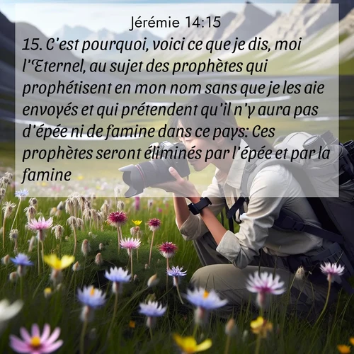 Segond21 Jérémie  ; image nature: image avec le verset biblique :C&#039;est pourquoi, voici ce que je dis, moi l&#039;Eternel, au sujet des prophètes qui prophétisent en mon nom sans que je les aie envoyés et qui prétendent qu&#039;il n&#039;y aura pas d&#039;épée ni de famine dans ce pays: Ces prophètes seront éliminés par l&#039;épée et par la famine, ;  ; 14:15
