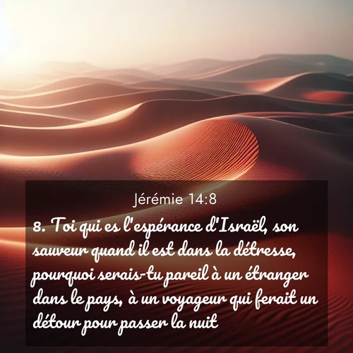 Segond21 Jérémie  ; image nature: image avec le verset biblique :Toi qui es l&#039;espérance d&#039;Israël, son sauveur quand il est dans la détresse, pourquoi serais-tu pareil à un étranger dans le pays, à un voyageur qui ferait un détour pour passer la nuit? ;  ; 14:8