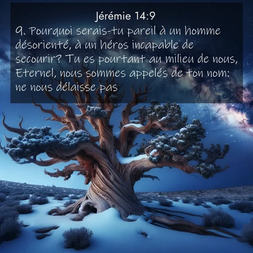 Segond21 Jérémie  ; image nature: image avec le verset biblique :Pourquoi serais-tu pareil à un homme désorienté, à un héros incapable de secourir? Tu es pourtant au milieu de nous, Eternel, nous sommes appelés de ton nom: ne nous délaisse pas!» ;  ; 14:9