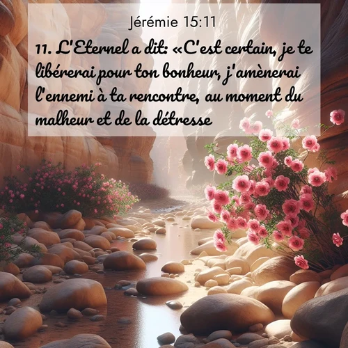 Segond21 Jérémie  ; image nature: image avec le verset biblique :L&#039;Eternel a dit: «C&#039;est certain, je te libérerai pour ton bonheur, j&#039;amènerai l&#039;ennemi à ta rencontre, au moment du malheur et de la détresse. ;  ; 15:11