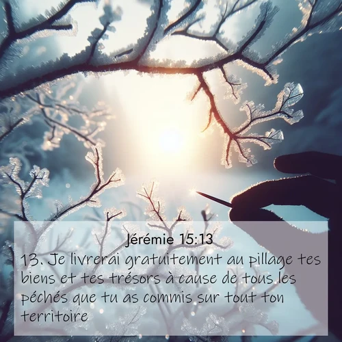 Segond21 Jérémie  ; image nature: image avec le verset biblique :Je livrerai gratuitement au pillage tes biens et tes trésors à cause de tous les péchés que tu as commis sur tout ton territoire. ;  ; 15:13