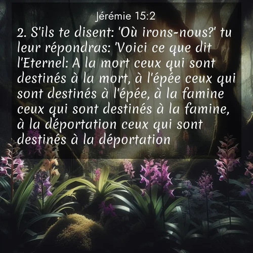 Segond21 Jérémie  ; image nature: image avec le verset biblique :S&#039;ils te disent: &#039;Où irons-nous?&#039; tu leur répondras: &#039;Voici ce que dit l&#039;Eternel: A la mort ceux qui sont destinés à la mort, à l&#039;épée ceux qui sont destinés à l&#039;épée, à la famine ceux qui sont destinés à la famine, à la déportation ceux qui sont destinés à la déportation!&#039; ;  ; 15:2