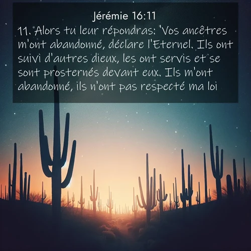 Segond21 Jérémie  ; image nature: image avec le verset biblique :Alors tu leur répondras: &#039;Vos ancêtres m&#039;ont abandonné, déclare l&#039;Eternel. Ils ont suivi d&#039;autres dieux, les ont servis et se sont prosternés devant eux. Ils m&#039;ont abandonné, ils n&#039;ont pas respecté ma loi. ;  ; 16:11