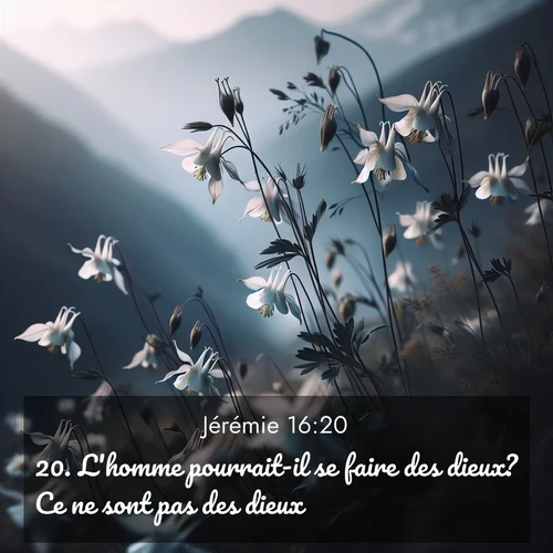 Segond21 Jérémie  ; image nature: image avec le verset biblique :L&#039;homme pourrait-il se faire des dieux? Ce ne sont pas des dieux!&#039;» ;  ; 16:20