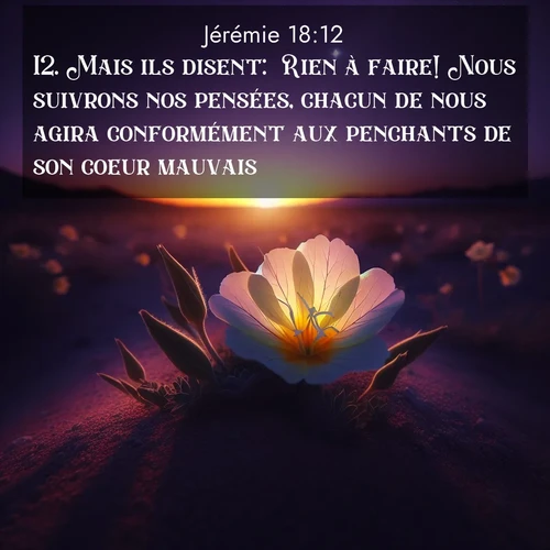 citation biblique : 12. Mais ils disent: &#039;Rien à faire! Nous suivrons nos pensées, chacun de nous agira conformément aux penchants de son coeur mauvais.&#039;
 sur fond image nature