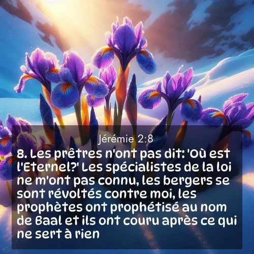 Segond21 Jérémie  ; image nature: image avec le verset biblique :Les prêtres n&#039;ont pas dit: &#039;Où est l&#039;Eternel?&#039; Les spécialistes de la loi ne m&#039;ont pas connu, les bergers se sont révoltés contre moi, les prophètes ont prophétisé au nom de Baal et ils ont couru après ce qui ne sert à rien. ;  ; 2:8