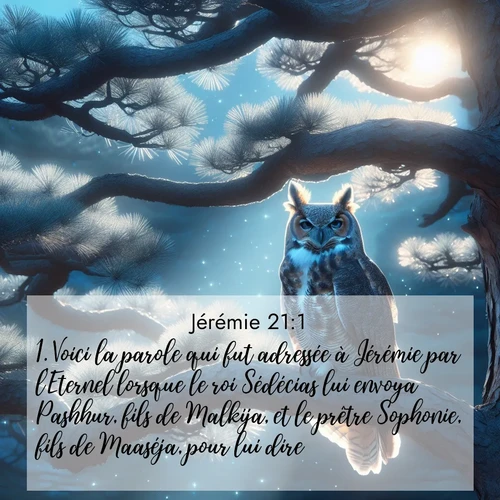 citation biblique : 1. Voici la parole qui fut adressée à Jérémie par l&#039;Eternel lorsque le roi Sédécias lui envoya Pashhur, fils de Malkija, et le prêtre Sophonie, fils de Maaséja, pour lui dire:
 sur fond image nature