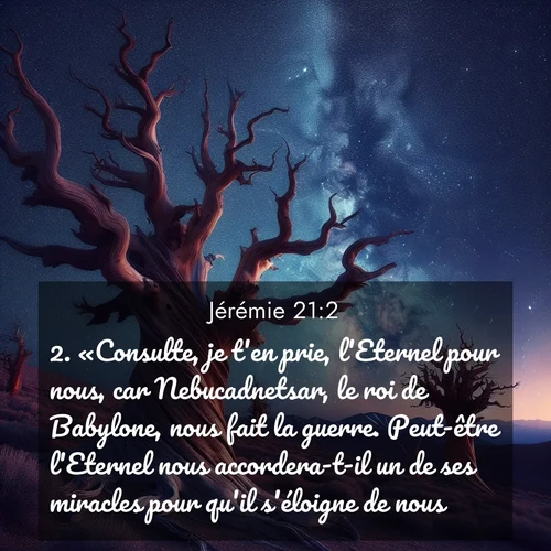 Segond21 Jérémie  ; image nature: image avec le verset biblique :«Consulte, je t&#039;en prie, l&#039;Eternel pour nous, car Nebucadnetsar, le roi de Babylone, nous fait la guerre. Peut-être l&#039;Eternel nous accordera-t-il un de ses miracles pour qu&#039;il s&#039;éloigne de nous.» ;  ; 21:2
