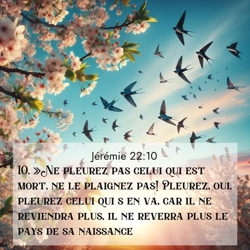 Segond21 Jérémie  ; image nature: image avec le verset biblique :»Ne pleurez pas celui qui est mort, ne le plaignez pas! Pleurez, oui, pleurez celui qui s&#039;en va, car il ne reviendra plus, il ne reverra plus le pays de sa naissance. ;  ; 22:10