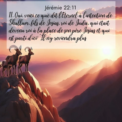Segond21 Jérémie  ; image nature: image avec le verset biblique :Oui, voici ce que dit l&#039;Eternel à l&#039;intention de Shallum, fils de Josias, roi de Juda, qui était devenu roi à la place de son père Josias et qui est parti d&#039;ici: &#039;Il n&#039;y reviendra plus, ;  ; 22:11