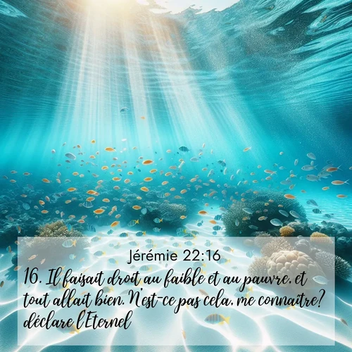 Segond21 Jérémie  ; image nature: image avec le verset biblique :Il faisait droit au faible et au pauvre, et tout allait bien. N&#039;est-ce pas cela, me connaître? déclare l&#039;Eternel. ;  ; 22:16