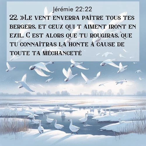 Segond21 Jérémie  ; image nature: image avec le verset biblique :»Le vent enverra paître tous tes bergers, et ceux qui t&#039;aiment iront en exil. C&#039;est alors que tu rougiras, que tu connaîtras la honte à cause de toute ta méchanceté. ;  ; 22:22
