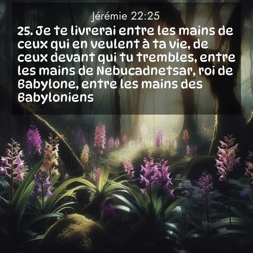 Segond21 Jérémie  ; image nature: image avec le verset biblique :Je te livrerai entre les mains de ceux qui en veulent à ta vie, de ceux devant qui tu trembles, entre les mains de Nebucadnetsar, roi de Babylone, entre les mains des Babyloniens. ;  ; 22:25
