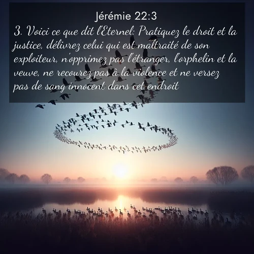 Segond21 Jérémie  ; image nature: image avec le verset biblique :Voici ce que dit l&#039;Eternel: Pratiquez le droit et la justice, délivrez celui qui est maltraité de son exploiteur, n&#039;opprimez pas l&#039;étranger, l&#039;orphelin et la veuve, ne recourez pas à la violence et ne versez pas de sang innocent dans cet endroit! ;  ; 22:3