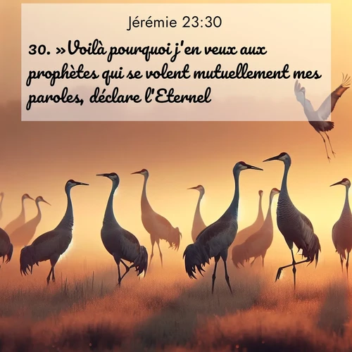 citation biblique : 30. »Voilà pourquoi j&#039;en veux aux prophètes qui se volent mutuellement mes paroles, déclare l&#039;Eternel.
 sur fond image nature