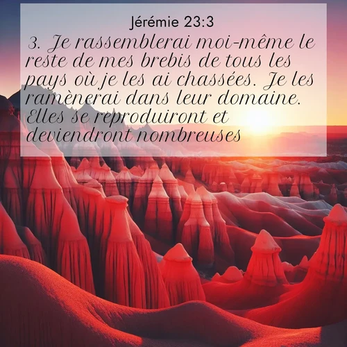 Segond21 Jérémie  ; image nature: image avec le verset biblique :Je rassemblerai moi-même le reste de mes brebis de tous les pays où je les ai chassées. Je les ramènerai dans leur domaine. Elles se reproduiront et deviendront nombreuses. ;  ; 23:3