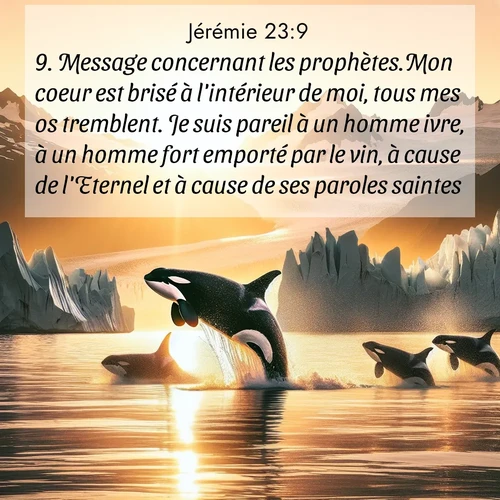 citation biblique : 9. Message concernant les prophètes.Mon coeur est brisé à l&#039;intérieur de moi, tous mes os tremblent. Je suis pareil à un homme ivre, à un homme fort emporté par le vin, à cause de l&#039;Eternel et à cause de ses paroles saintes.
 sur fond image nature