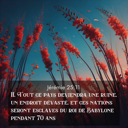 citation biblique : 11. Tout ce pays deviendra une ruine, un endroit dévasté, et ces nations seront esclaves du roi de Babylone pendant 70 ans.
 sur fond image nature