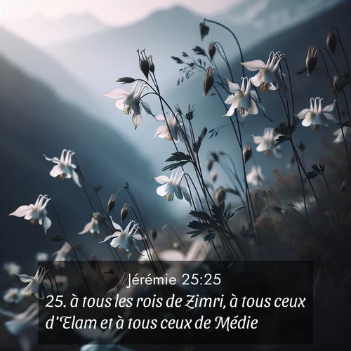 citation biblique : 25. à tous les rois de Zimri, à tous ceux d&#039;Elam et à tous ceux de Médie;
 sur fond image nature