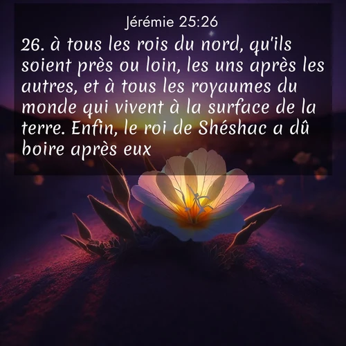 citation biblique : 26. à tous les rois du nord, qu&#039;ils soient près ou loin, les uns après les autres, et à tous les royaumes du monde qui vivent à la surface de la terre. Enfin, le roi de Shéshac a dû boire après eux.
 sur fond image nature