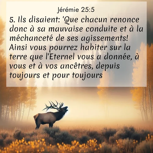 citation biblique : 5. Ils disaient: &#039;Que chacun renonce donc à sa mauvaise conduite et à la méchanceté de ses agissements! Ainsi vous pourrez habiter sur la terre que l&#039;Eternel vous a donnée, à vous et à vos ancêtres, depuis toujours et pour toujours.
 sur fond image nature