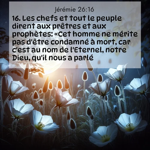 citation biblique : 16. Les chefs et tout le peuple dirent aux prêtres et aux prophètes: «Cet homme ne mérite pas d&#039;être condamné à mort, car c&#039;est au nom de l&#039;Eternel, notre Dieu, qu&#039;il nous a parlé.»
 sur fond image nature