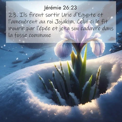 citation biblique : 23. Ils firent sortir Urie d&#039;Egypte et l&#039;amenèrent au roi Jojakim. Celui-ci le fit mourir par l&#039;épée et jeta son cadavre dans la fosse commune.
 sur fond image nature