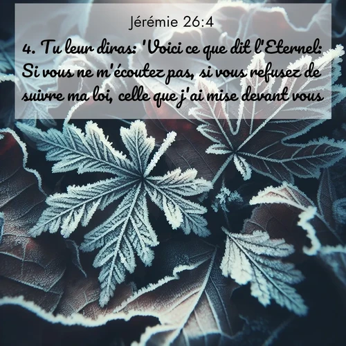 Segond21 Jérémie  ; image nature: image avec le verset biblique :Tu leur diras: &#039;Voici ce que dit l&#039;Eternel: Si vous ne m&#039;écoutez pas, si vous refusez de suivre ma loi, celle que j&#039;ai mise devant vous, ;  ; 26:4