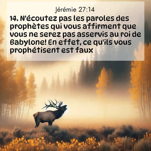 Segond21 Jérémie  ; image nature: image avec le verset biblique :N&#039;écoutez pas les paroles des prophètes qui vous affirment que vous ne serez pas asservis au roi de Babylone! En effet, ce qu&#039;ils vous prophétisent est faux. ;  ; 27:14