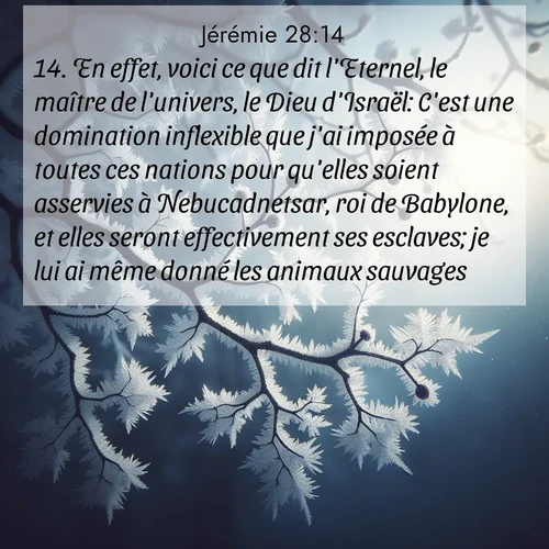 Segond21 Jérémie  ; image nature: image avec le verset biblique :En effet, voici ce que dit l&#039;Eternel, le maître de l&#039;univers, le Dieu d&#039;Israël: C&#039;est une domination inflexible que j&#039;ai imposée à toutes ces nations pour qu&#039;elles soient asservies à Nebucadnetsar, roi de Babylone, et elles seront effectivement ses esclaves; je lui ai même donné les animaux sauvages.&#039;» ;  ; 28:14